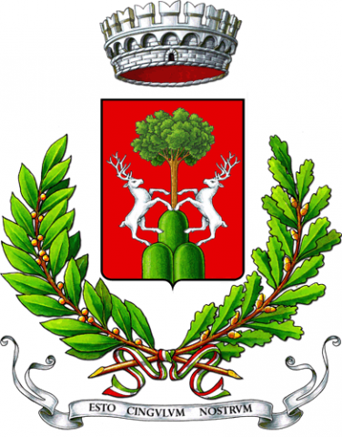 Cingoli